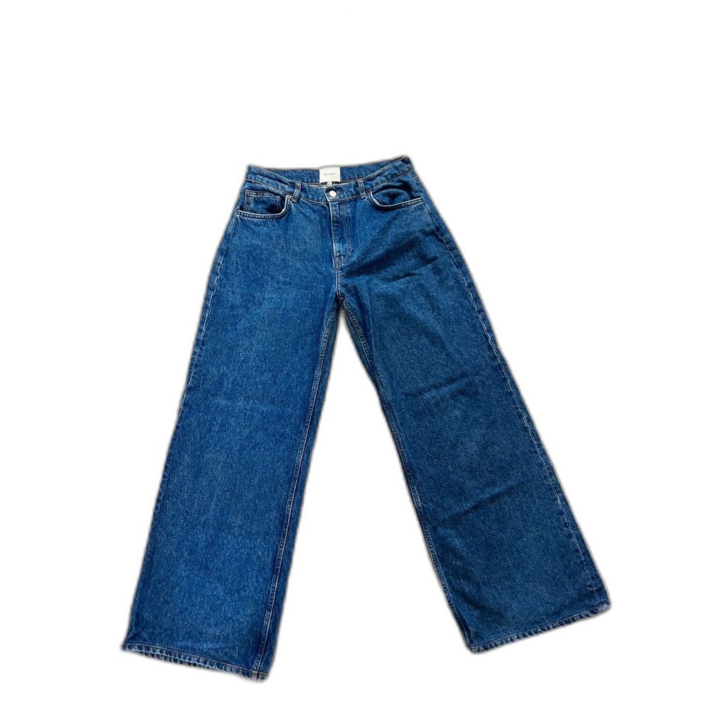 Reformation Low Rise Slouchy Wide Leg Cary Jean